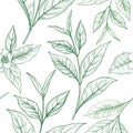 Tea branch floral seamless pattern. Tea leaves background Royalty Free Stock Photo