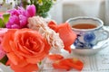 Tea break with rose and herbs