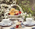 Tea Break Scone Strawberry Jam Garden Outdoors Concept