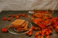 Tea with calendula flowers and biscuits. Transparent glass cup and saucer Royalty Free Stock Photo