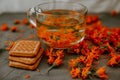 Tea with calendula flowers and biscuits. Transparent glass cup and saucer Royalty Free Stock Photo