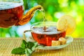 Tea ceremony, pouring tea from a teapot into a tea cup on a background of beautiful nature bokeh Royalty Free Stock Photo