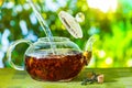 Tea ceremony, pouring tea from a teapot into a tea cup on a background of beautiful nature bokeh Royalty Free Stock Photo