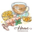 Tea with chamomile, lemon, ginger and mint. Home remedies treatment for colds, flu, coughs. Vector sketch illustration Royalty Free Stock Photo