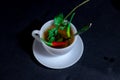 Tea in the china cup wit the spcies and mint on dark background Royalty Free Stock Photo