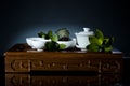 Tea china ware service Royalty Free Stock Photo