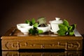 Tea china ware service Royalty Free Stock Photo