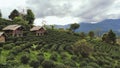 tea coffy farm homestay mountain Royalty Free Stock Photo