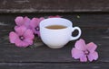Tea or a cold-prepared macerate of flowers Malva mauritiana. Royalty Free Stock Photo