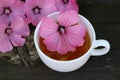 Tea or a cold-prepared macerate of flowers Malva mauritiana. The actual coloring that causes the plant dyes in response to lemon. Royalty Free Stock Photo