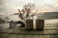 Tea concept. Japanese tea ceremony culture east beverage. Teapot and cups on table with bamboo leaves on sunset