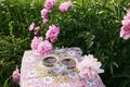 Tea in country style in summer garden in the village. Two cups of black tea on crocheted vintage lacy tablecloth and blooming Royalty Free Stock Photo