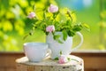 Tea crockery and wild rose flowers Royalty Free Stock Photo