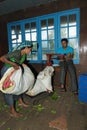 Tea crop weighing on tea factory Royalty Free Stock Photo