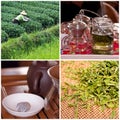 Tea culture and degustation collage Royalty Free Stock Photo