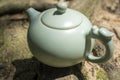 Tea culture, outdoor close up shot of the tea pot