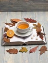 Tea cup on blank book pages and leaves. Hot beverage Royalty Free Stock Photo