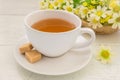 Tea cup and brown sugar cubes Royalty Free Stock Photo