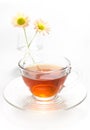 Tea in cup with chrysanthemum