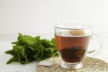 Tea cup close-up and peppermint leaves Royalty Free Stock Photo