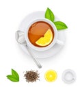 Tea cup with fresh green and dried leaves. Vector illustration. Royalty Free Stock Photo