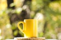 Tea cup in the garden Royalty Free Stock Photo