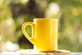 Tea cup in the garden Royalty Free Stock Photo