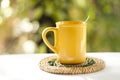 Tea cup in the garden Royalty Free Stock Photo