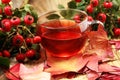 Tea. cup of herbal Dog rose tea with bunch branch Rosehips, type