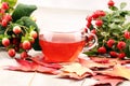 Tea. cup of herbal Dog rose tea with bunch branch Rosehips, type