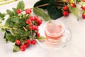 Tea. cup of herbal Dog rose tea with bunch branch Rosehips, type