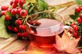 Tea. cup of herbal Dog rose tea with bunch branch Rosehips, type