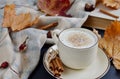 Tea Cup Hot Coffee Cappuccino Autumn Royalty Free Stock Photo