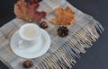 Tea Cup Hot Coffee Cappuccino Autumn Time Royalty Free Stock Photo