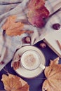 Tea Cup Hot Coffee Cappuccino Autumn Royalty Free Stock Photo
