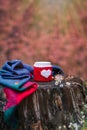 Tea cup with knitted heart and woolen scarf on a wooden stump