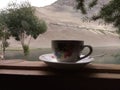 Tea cup at the lake