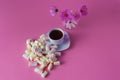 Tea cup with marshmallow Royalty Free Stock Photo