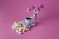 Tea cup with marshmallow Royalty Free Stock Photo