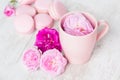 Tea cup with rose and macaroons Royalty Free Stock Photo