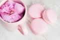 Tea cup with rose and macaroons, selective focus Royalty Free Stock Photo