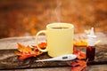 Tea cup with thermometer, autumn leaves and nose drops, flu seas