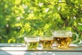 Tea cups filled with green and Chinese tea, garden ambiance Royalty Free Stock Photo