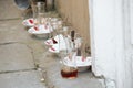 Tea cups and plates standing on the ground Royalty Free Stock Photo