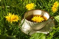 Tea from dandelion in a china cup standing outside in the lawn b