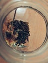 tea dregs in the glass Royalty Free Stock Photo