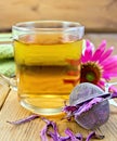 Tea from Echinacea in glass mug with strainer Royalty Free Stock Photo