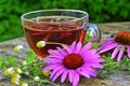 Tea with echinacea useful to health