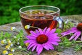 Tea with echinacea useful to health