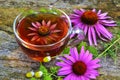 Tea with echinacea useful to health Royalty Free Stock Photo